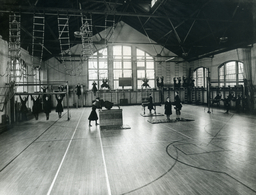Exercising in the Gymnasium