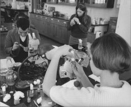 Students in a Lab, ca 1960s-70s