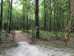 African American cemetery at Drayton Hall