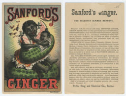 Sanford's Ginger