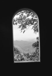 Window of a builiding, El Yunque National Forest