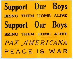 Night Raiders -- Support Our Boys -- Bring Them Home Alive -- Pax America -- Peace Is War