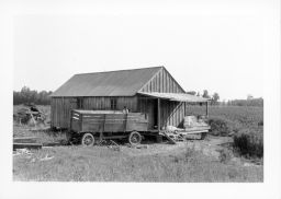 Two people (perhaps children) are in a cotton wagon next to a small cotton house surrounded by agricultural fields