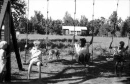 Children playing on a swings at Delta Cooperative with a dog and house in the background