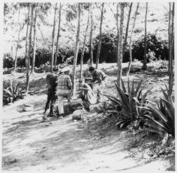 Men wna women in European dress in Eucaliptus grove