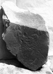 Fragment b of STATUE BASE FOR A KANEPHOROS. (IG II² 3220)