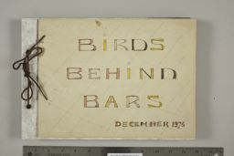 Birds Behind Bars