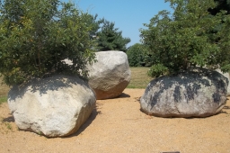 Andy Goldsworthy Garden of Stones