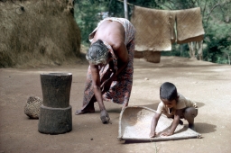 Householder and child collecting stray grains of rice