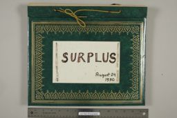 Surplus 