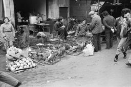 Shanghai street vendors.