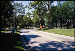 Curvilinear residential street and abundant greenery (Riverside, Illinois, USA)