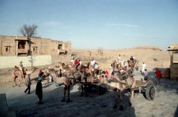 Caravan on Outskirts of Jaisalmer