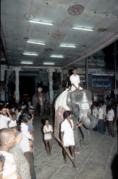 Chithrai Festival Elephants at the Procession