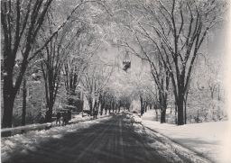 Central Avenue, Snow