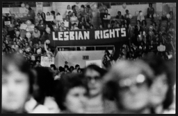 Lesbian Rights banner at the International Women's Year Convention