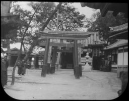 Torii gates at Hodzu-no-miya, Osaka, Japan