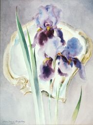 Irises (with shell)