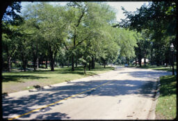 Curvilinear residential street and abundant greenery (Riverside, Illinois, USA)