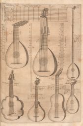 Musurgia Univeralis: Plucked stringed instruments
