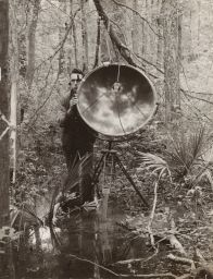 The Sound Mirror Catching the Calls of The Ivory Billed Woodpecker