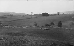 Moraine in Inlet Valley near West Danby, NY looking North, C. S. Downes 5 Oct. 1895