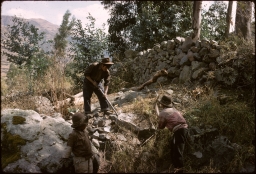 Removing stone, Dario 1969