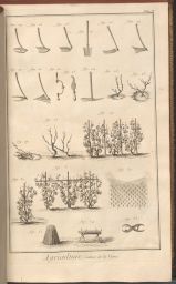 Illustration of tools for grape cultivation.