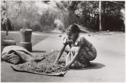 Householder drying millet on a mat