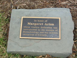 Margaret Arion Redwoord Tree Plaque