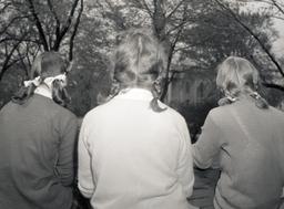 View of three women's hairstyles