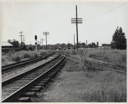 View from Between Seaboard and Southern Tracks Looking Southwest