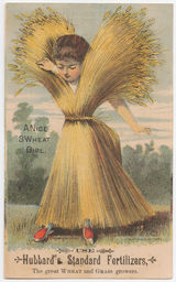 A Nice SWheat (sweet) Girl - Use Hubbard's standard fertilizer, the great wheat and grass growers