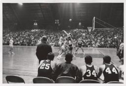 Cornell-Colgate basketball game.