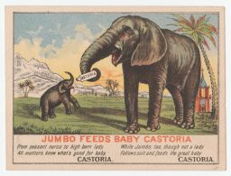 Jumbo feeds baby Castoria.