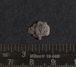 Chipped lithic debris