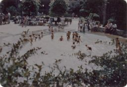 Children playing in the wading pool at Hillside Homes.