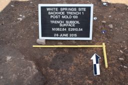 Plan View of Post Mold 100 at the White Springs Site upon First Exposure