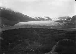 Fourth or Beasley Glacier In front, shows entire Glacier