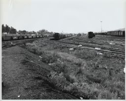 West End of Rutherford Yards
