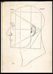 Divina Proportio [Proportions of the human head] (from Pacioli, Proportion)
