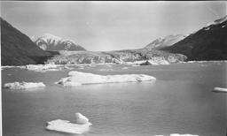 Icebergs in front of Nunatak Glacier
