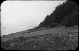Yakutat Bay: S… old wavecut cliff. Man on rock bench of elevated beach. USGS 1905-123