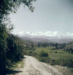 Road with Cordillera Blanca in background