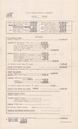 Financial Statement for the IWO Cemetery Department, Inc.