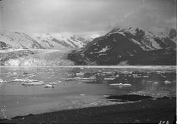 Long focus panorama (291-292-293) of Turner Glacier, ect. from Osier Island