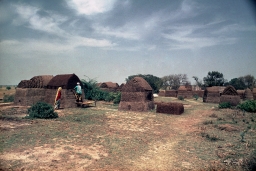 Dung Houses
