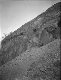 Talus slope on west side of Disenchantment Bay near Turner Glacier.