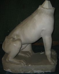 Dog of Meleager    