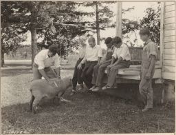 County Agent D.M. Dalrymple (?) examining a sheep with several boys watching.